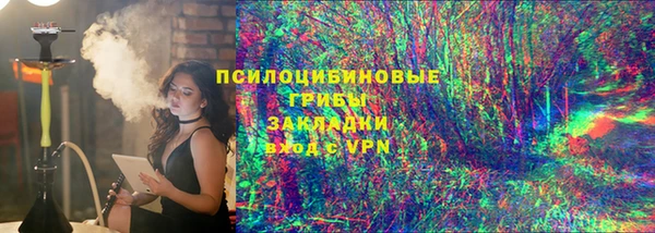 ПСИЛОЦИБИНОВЫЕ ГРИБЫ Алексин