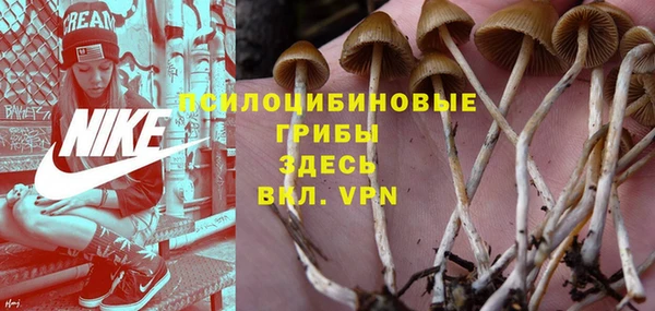 тгк Алзамай