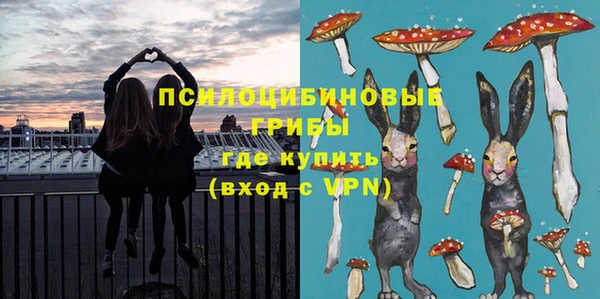 ПСИЛОЦИБИНОВЫЕ ГРИБЫ Алексин