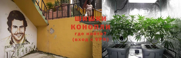 ПСИЛОЦИБИНОВЫЕ ГРИБЫ Алексин