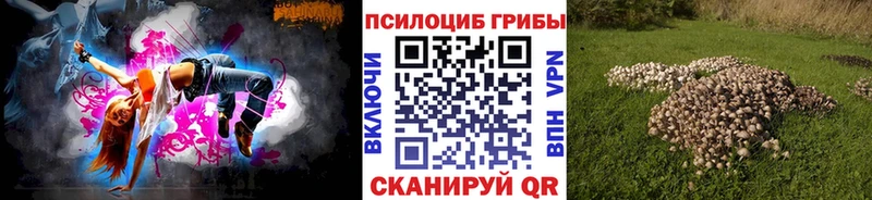 что такое наркотик  Новозыбков  ссылка на мегу маркетплейс  Псилоцибиновые грибы MAGIC MUSHROOMS 